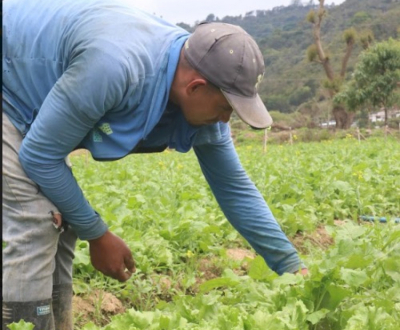 Pastoral Social pide di&aacute;logo genuino con agricultores