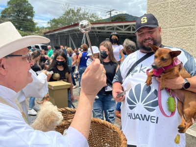 Consejos para cuando lleve sus mascotas a bendecir