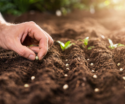 Construya usted una Comunidad Laudato Si&rsquo;