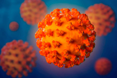 Obispos se pronuncian sobre Reglamento Sanitario Internacional