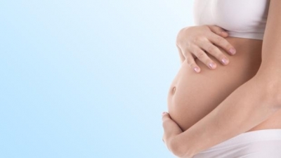 Obispos: Basta ya de políticas contra los valores de nuestra nación