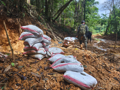 Obispos sobre Crucitas: soluciones deben ser integrales