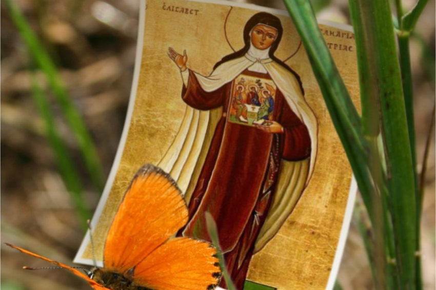 ¡Laudem Gloriae! Parte II