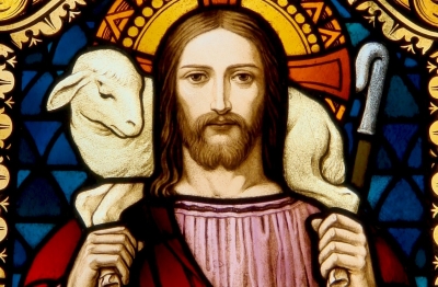 “Somos ovejas de su rebaño”
