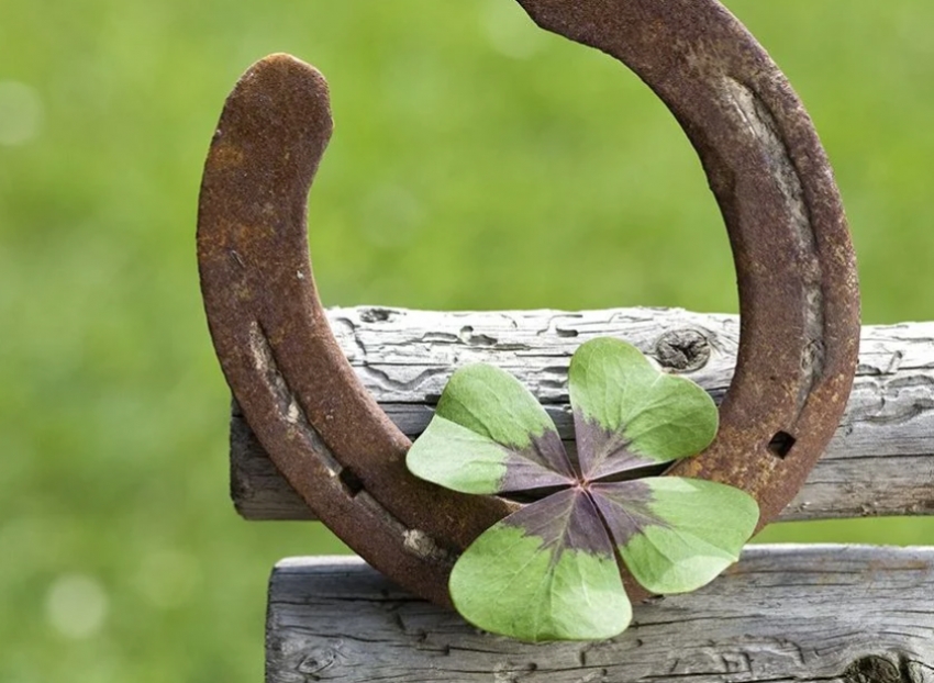 Opinión: El juicio de los ahuizotes