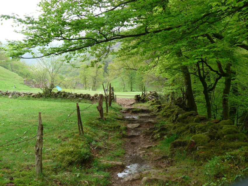 Uno vuelve siempre a los viejos sitios donde amó la vida