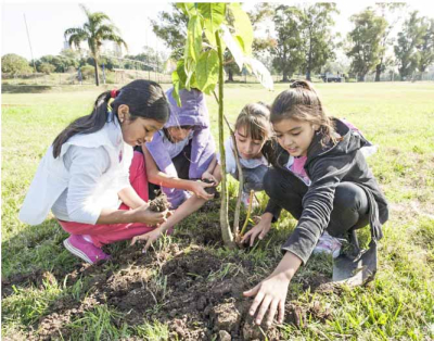 La idea de los esfuerzos no es generar acciones aisladas, sino generar procesos y enlaces con otras personas.