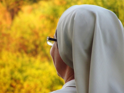 La Vida Consagrada: parábola de fraternidad