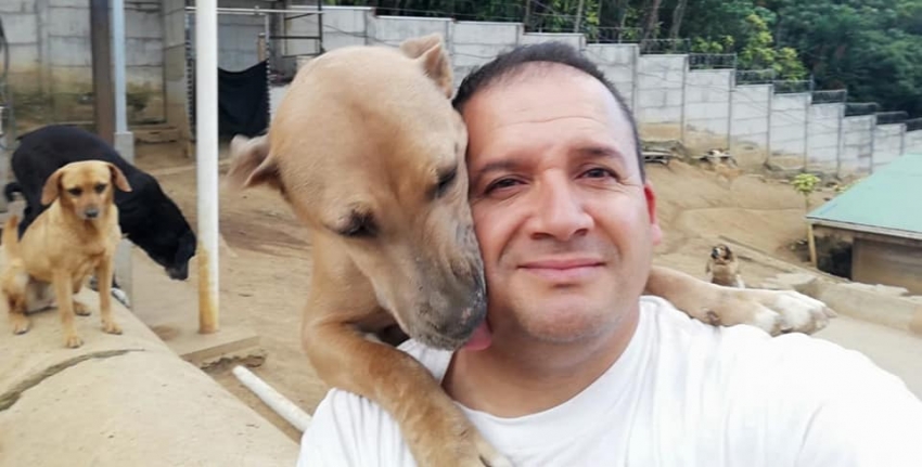 Casi 100 perros se adueñaron del cariño de este sacerdote