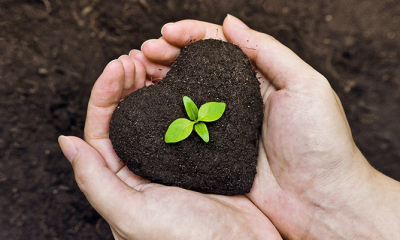 Cualquier da&ntilde;o al medio ambiente es hecho a la humanidad
