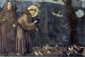 Celebrarán 800 años del Cántico de las Criaturas