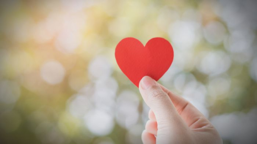 El amor se poda se pule y se recrea