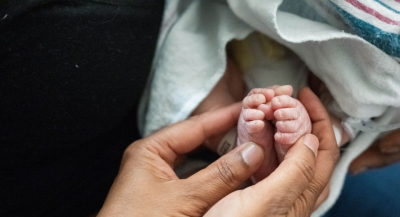 La vida: derecho radical