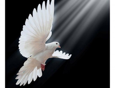 ¿El Espíritu Santo bajó como una paloma?
