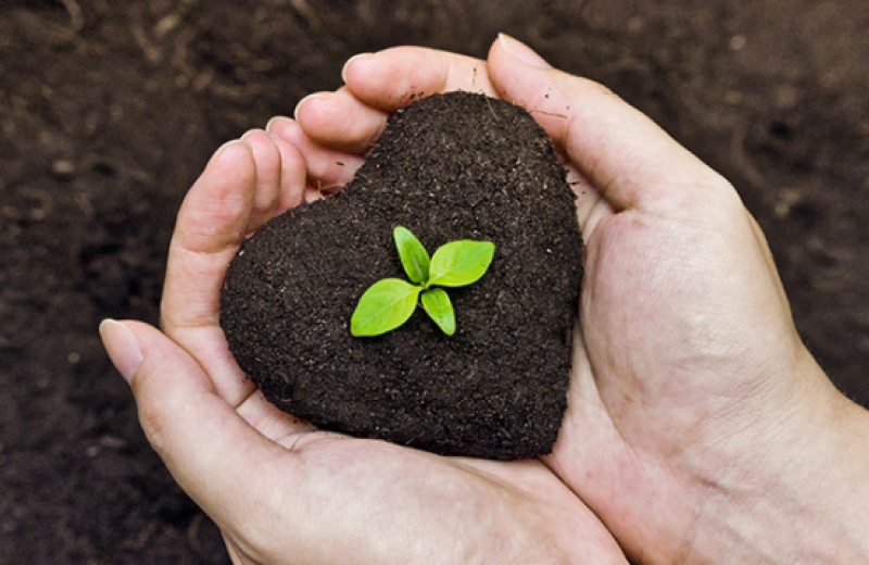 Cualquier daño al medio ambiente es hecho a la humanidad